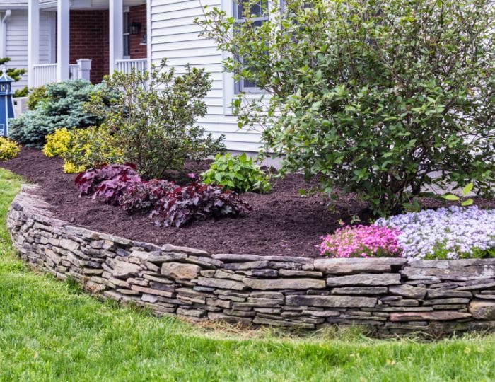 Exploring the Best Mulch Types for Your Aurora Garden 10 Exploring the Best Mulch Types for Your Aurora Garden