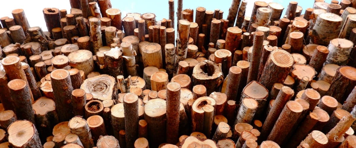 Channahon, IL 1 Firewood Delivery Channahon, IL