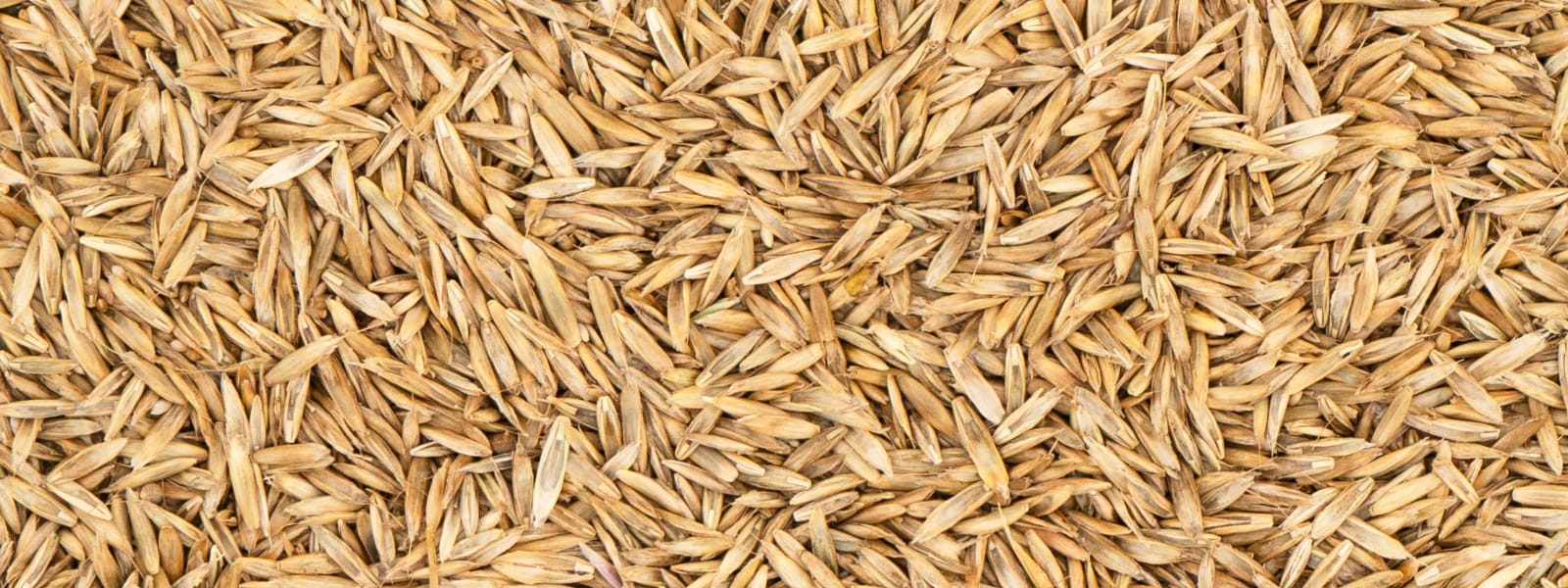 Grass Seed Supplier Oswego IL