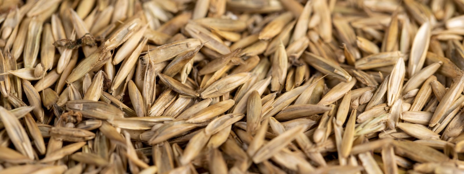 Grass Seed Supplier Plainfield IL