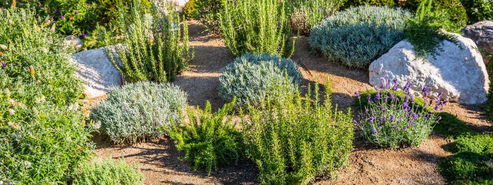 Landscape Supply Oswego IL 1 Landscape Supply Oswego IL