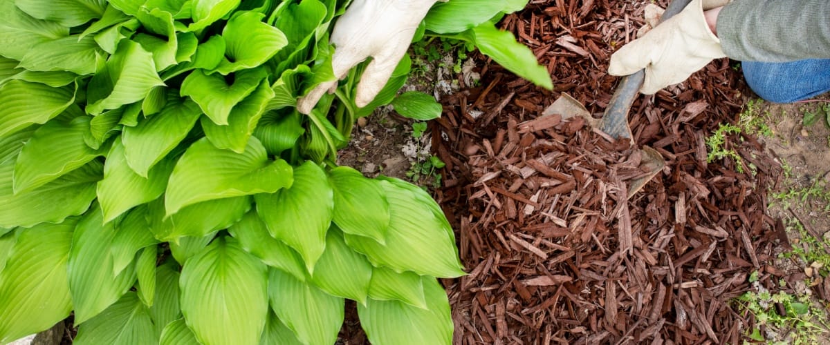 Mulch Delivery Oswego, IL