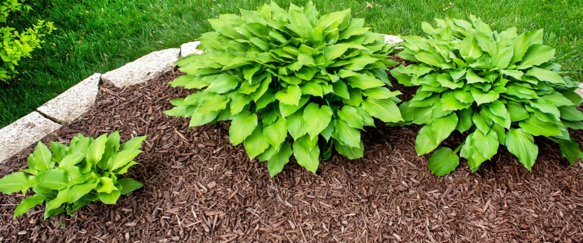 Plano, IL 1 Mulch Delivery Plano, IL