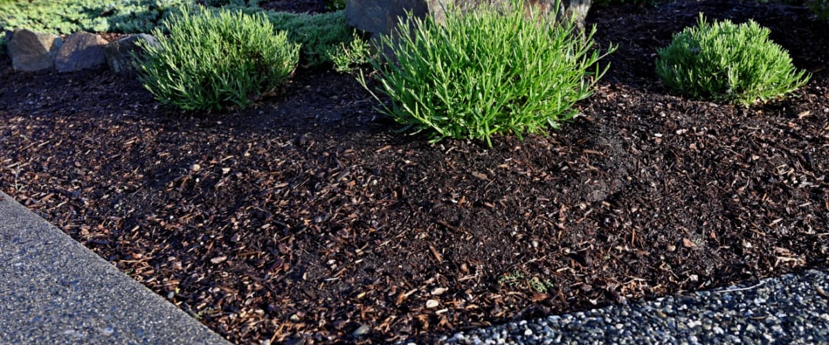 Romeoville, IL 1 Mulch Delivery Romeoville, IL