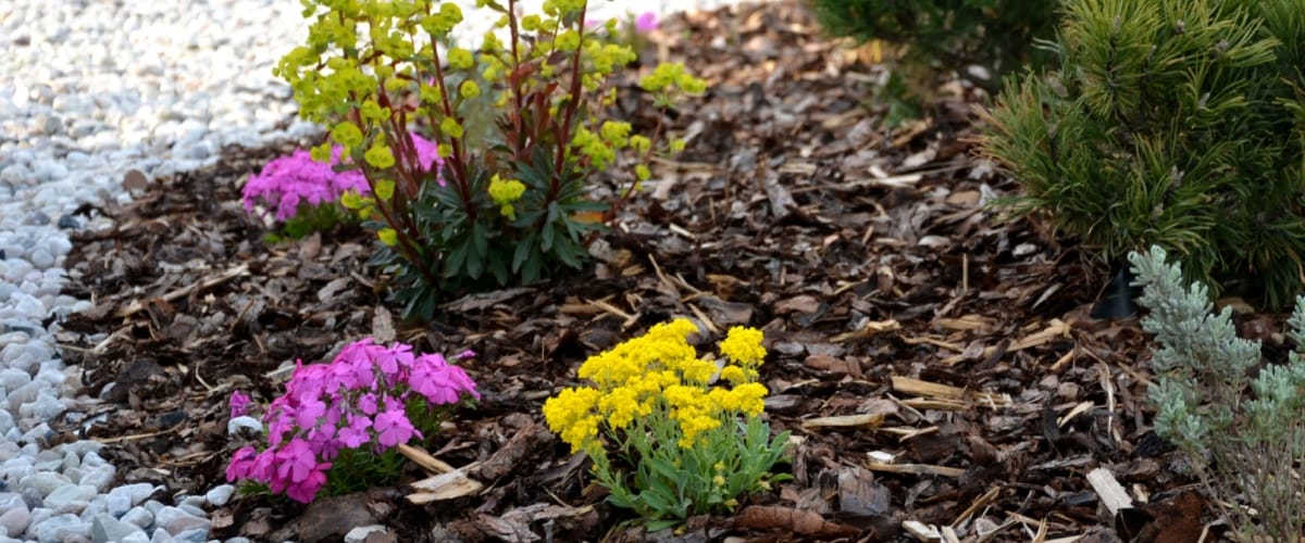 Shorewood, IL 1 Mulch Delivery Shorewood, IL
