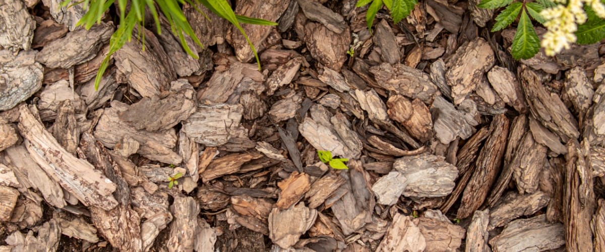 West Chicago, IL 1 Mulch Delivery & Blower Service in West Chicago, IL | The Grove