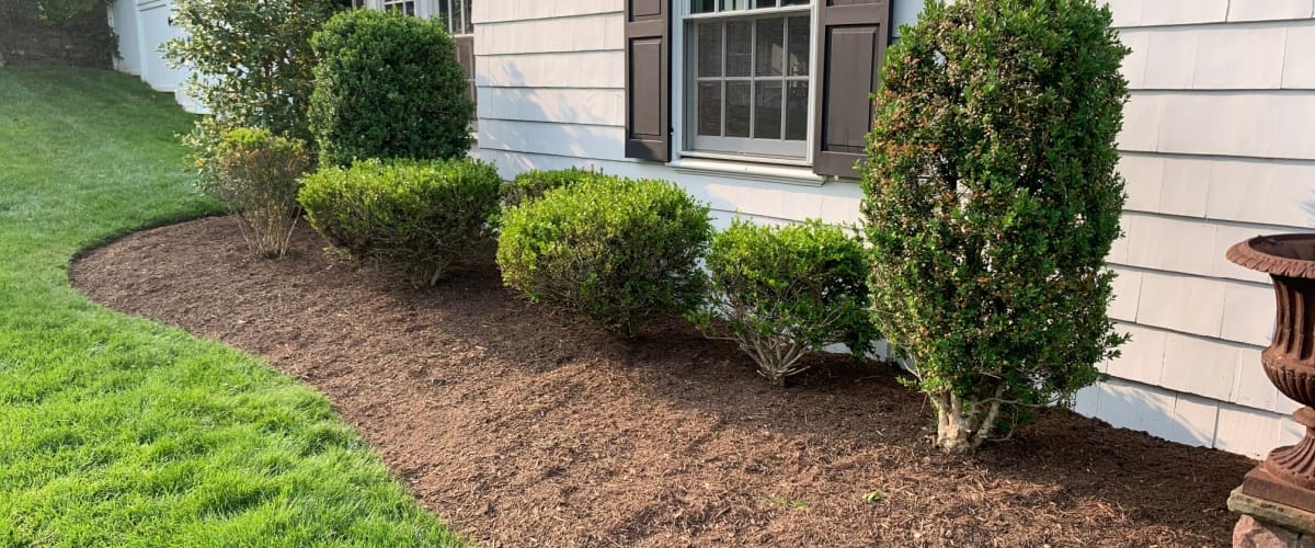 Winfield, IL 1 Mulch Delivery & Blower Service in Winfield, IL | The Grove