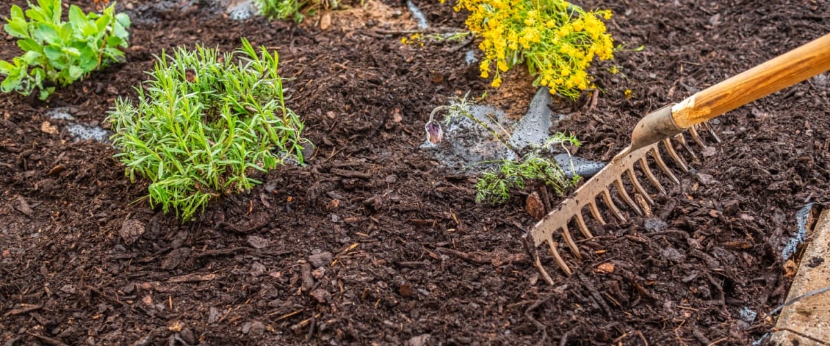 Woodridge, IL 1 Mulch Delivery & Blower Service in Woodridge, IL | The Grove