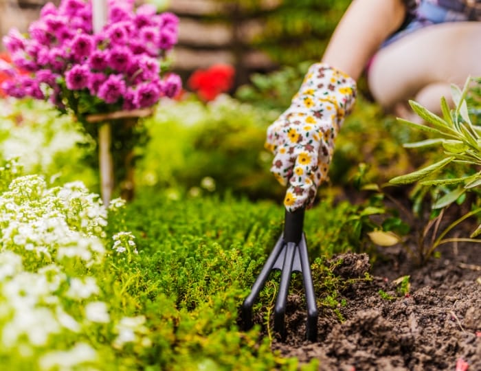 Preparing Your Garden with The Grove Firewood & Mulch 2 Preparing Your Garden with The Grove Firewood Mulch