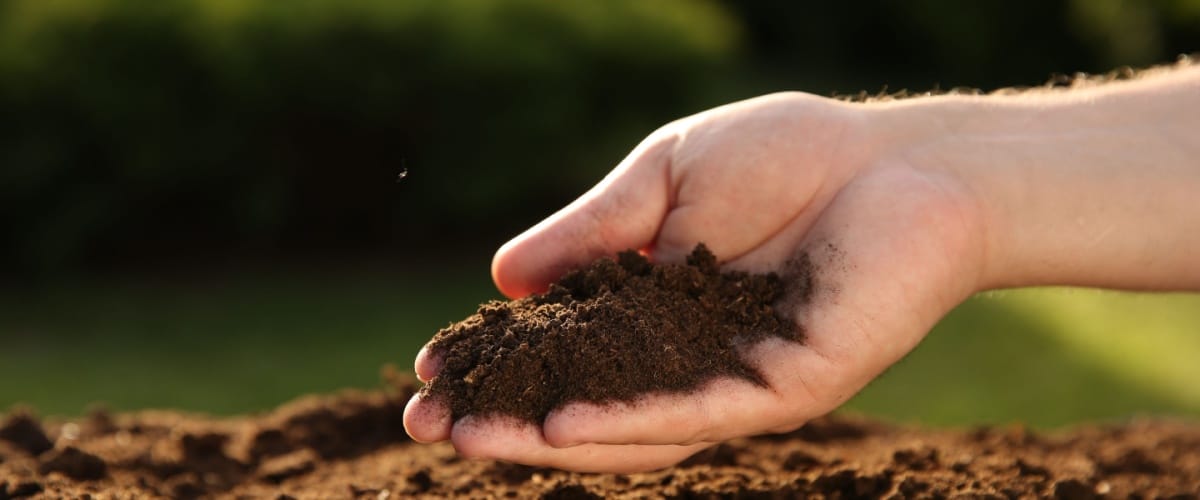 Soil Supplier Bolingbrook, IL 1 Soil Delivery Bolingbrook, IL