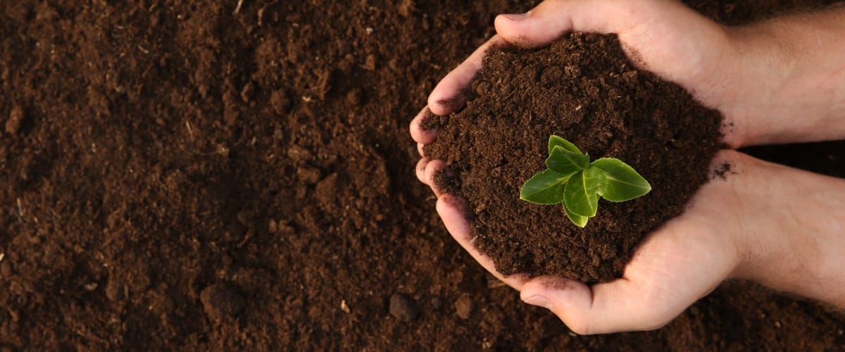 Soil Supplier Carol Stream, IL 1 Soil Delivery Carol Stream, IL