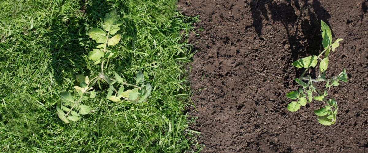 Soil Supplier North Aurora, IL 1 Soil Delivery North Aurora, IL