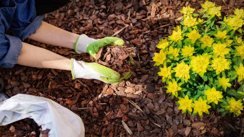 The Benefits of Mulch for Your Garden: A Guide from The Grove Firewood & Mulch 2 The Grove IL Mulch Supplies Garden