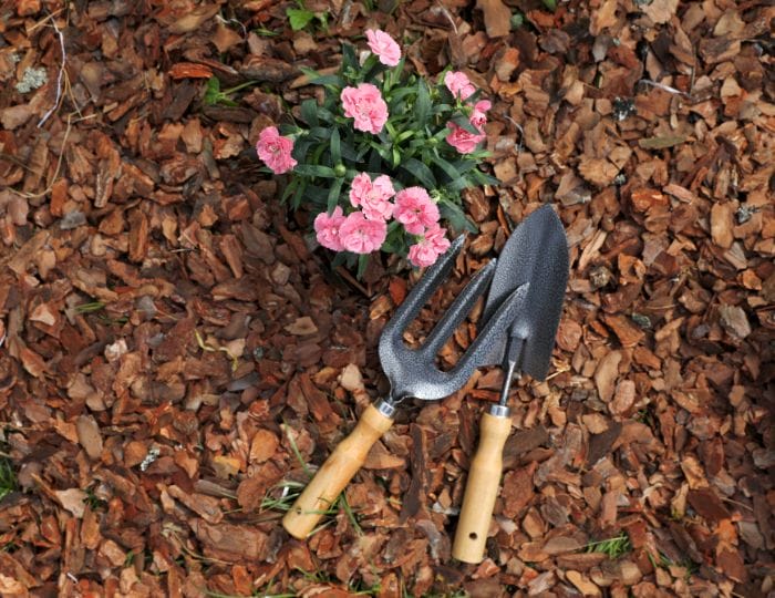 Water-Saving Tips for Your Garden Using Mulch 8 Water Saving Tips for Your Garden Using Mulch